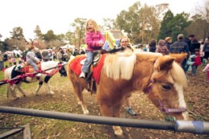 Kids Zone Pony Rides